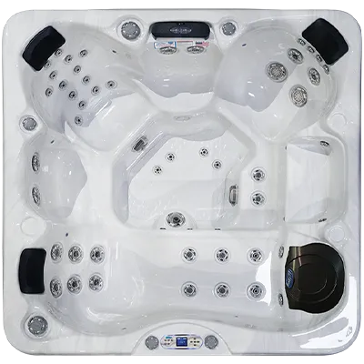 Avalon EC-849L hot tubs for sale in Chicago